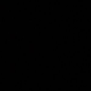 Meet your Posher, Bradley